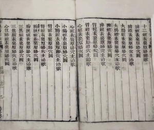 医宗金鉴.清在线阅读