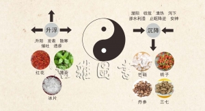 中药性能——升降浮沉