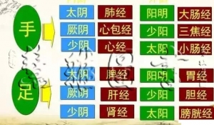 中药性能——归经