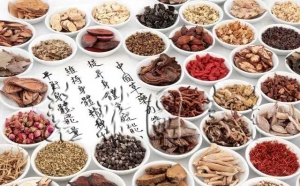 解表药——总论