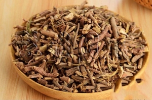 解表药——辛温解表药