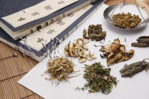 泻下药——总论