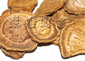 泻下药——攻下药