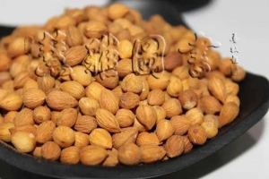 泻下药——润下药