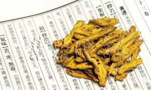 清热药——清热燥湿药