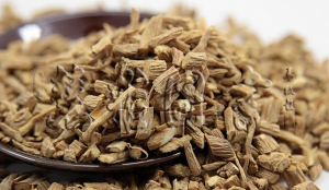 清热药——清虚热药