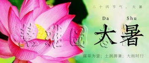 慧雅四季养生专题：夏季养生（二）第一部分