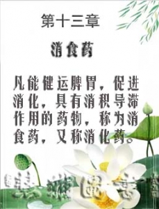 第十三章 消食药