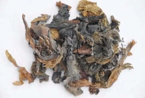 第十四章 化痰止咳平喘药——清化热痰药