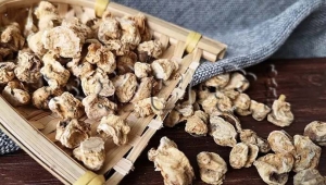 第十五章 补益药——补气药