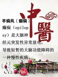 羊痫风（癫痫）