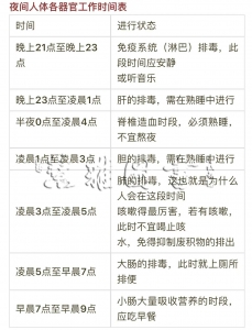 人体器官十二时辰工作时间表